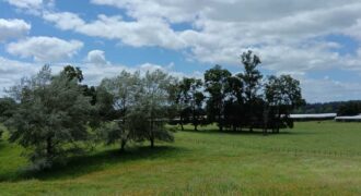 Campo sector Quema del Buey 63 hectáreas