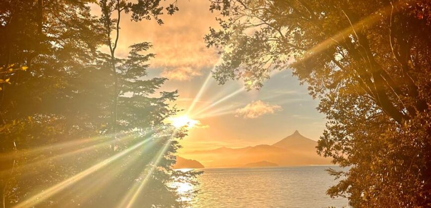 Parcelas en Lago Rupanco