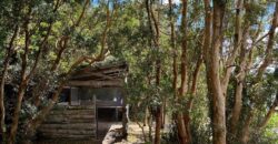 Parcelas en Lago Rupanco